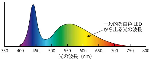 一般的な白色LEDのスペクトル