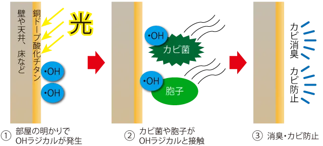 部屋の壁や天井、床などに銅ドープ酸化チタンを塗布しておくとカビ菌や胞子を酸化分解するので、消臭・カビ防止ができる