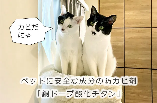 ペットに安全な成分の防カビ剤「銅ドープ酸化チタン」