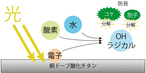 銅ドープ酸化チタンによる防苔メカニズム