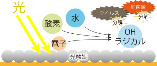 光触媒によるOHラジカルで抗菌や抗ウイルスができるメカニズム