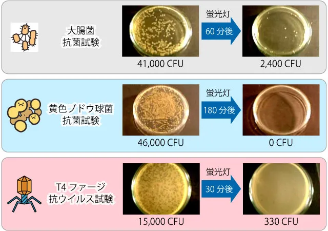 蛍光灯（200Lx）での大腸菌抗菌試験、黄色ブドウ球菌抗菌試験、T4ファージ抗ウイルス試験