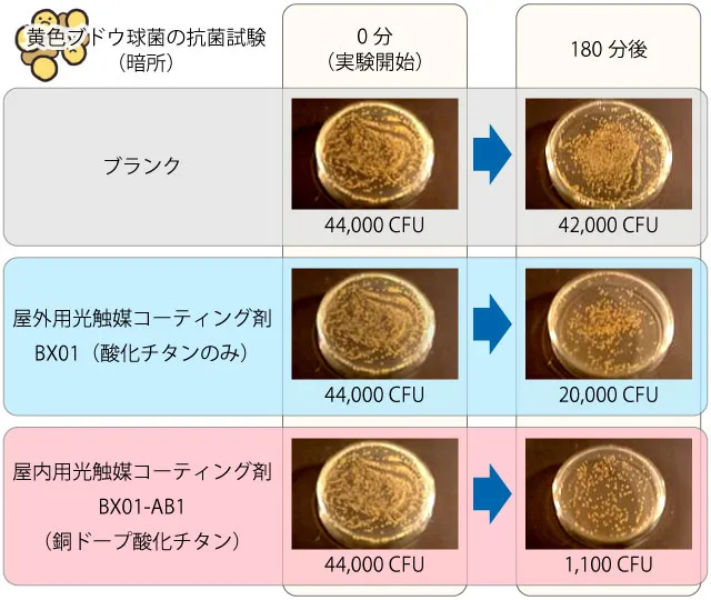 暗所での酸化チタンと銅ドープ酸化チタンの黄色ブドウ球菌抗菌試験結果