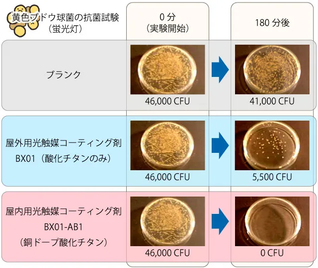 蛍光灯（200Lxの可視光）での酸化チタンと銅ドープ酸化チタンの黄色ブドウ球菌抗菌試験結果
