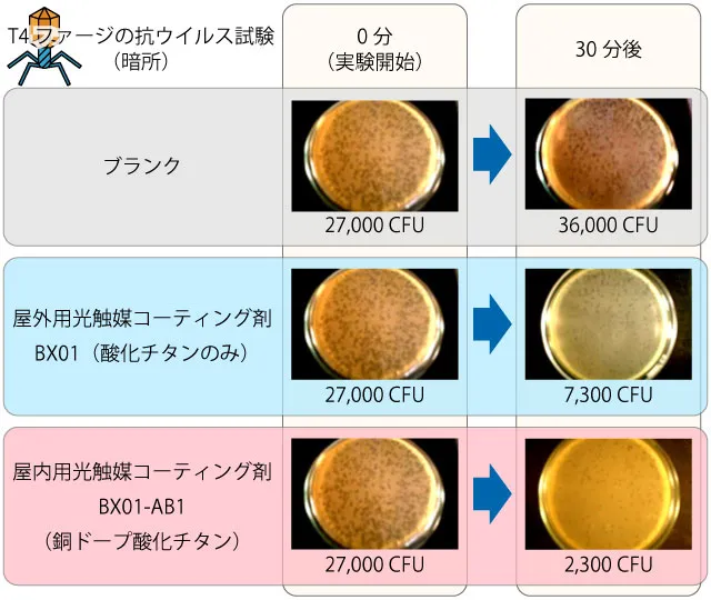 暗所での酸化チタンと銅ドープ酸化チタンのT4ファージ抗ウイルス試験結果