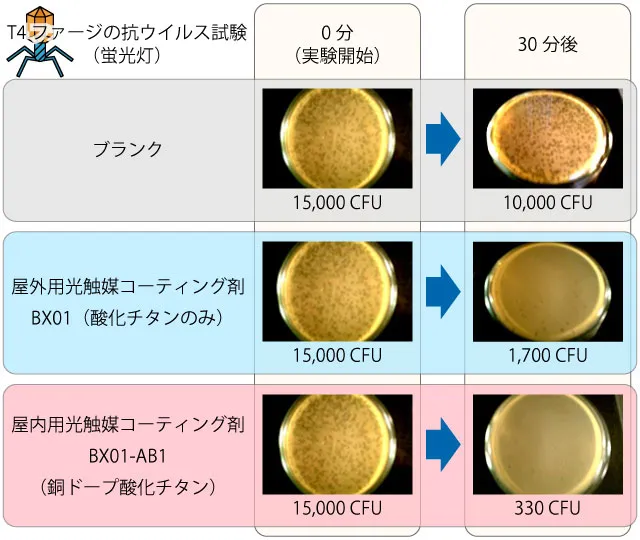 蛍光灯（200Lxの可視光）での酸化チタンと銅ドープ酸化チタンのT4ファージ抗ウイルス試験結果